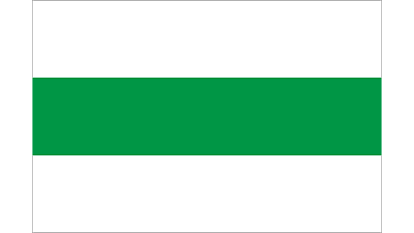Vlag gemeente Groningen - in kleur op transparante achtergrond - 600 * 337 pixels 
